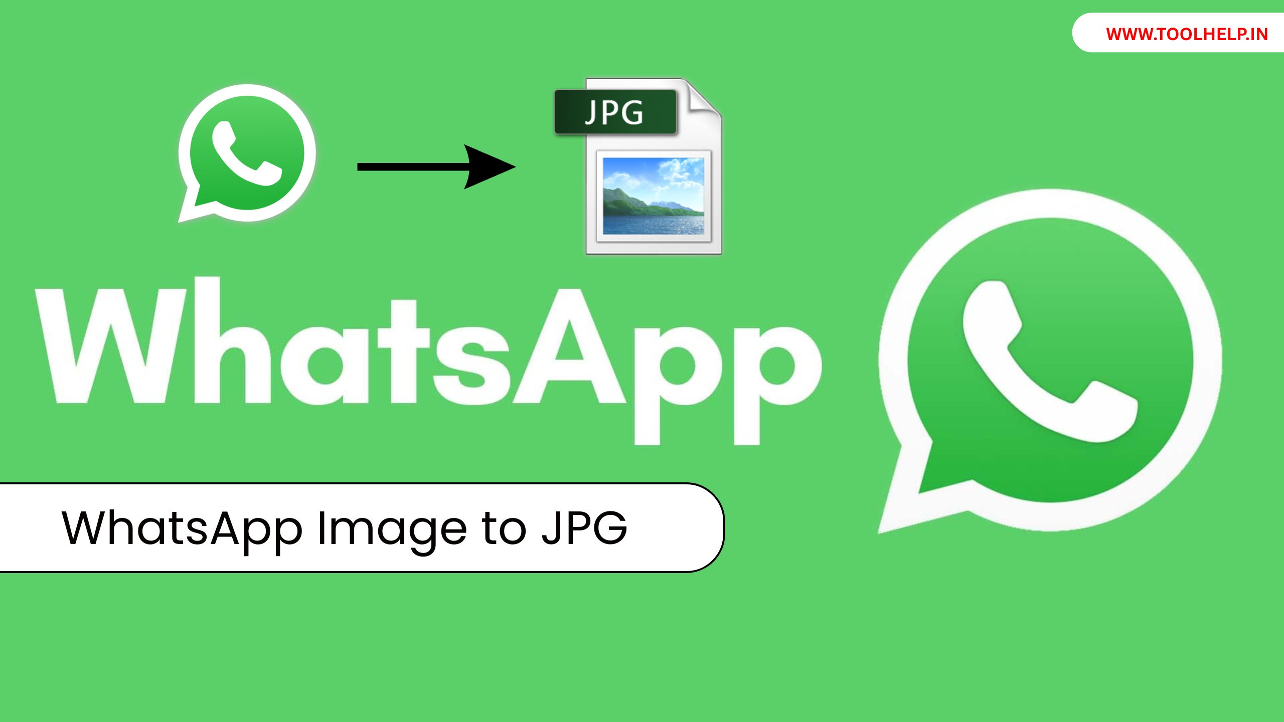 WhatsApp Image to JPG